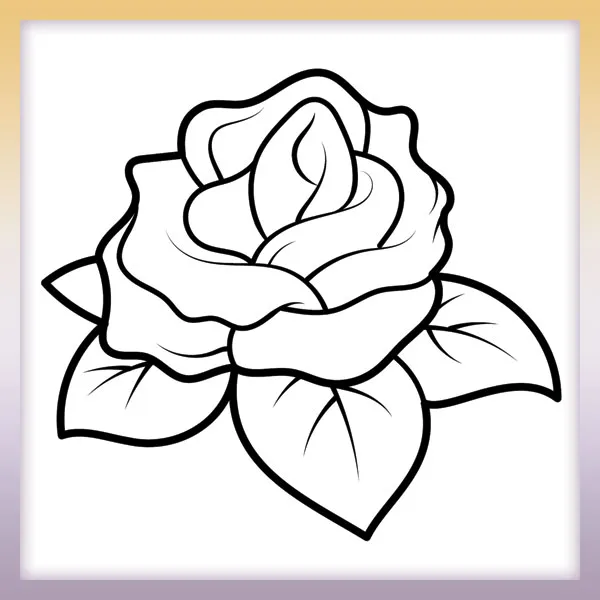 Rosa | Dibujos para colorear