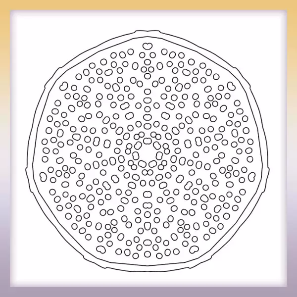 Mandala - círculos - Dibujos para colorear