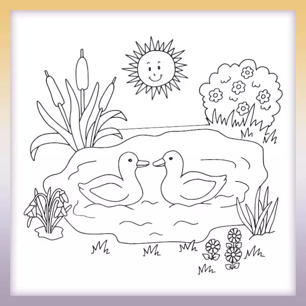 Patos en el estanque - Dibujos para colorear