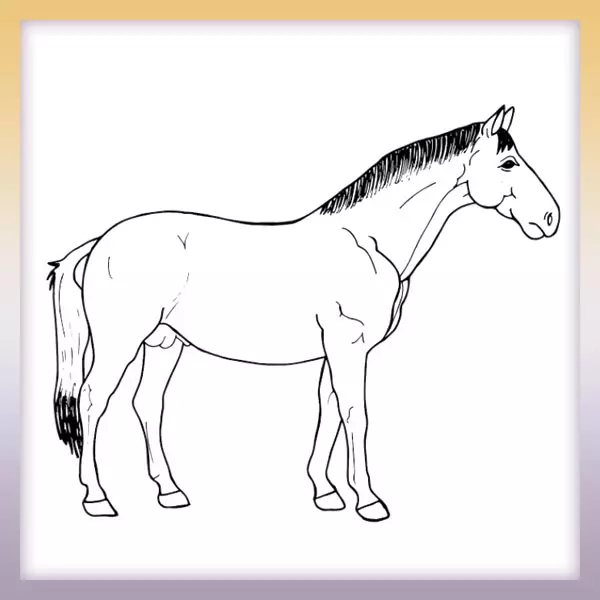 Caballo - Dibujos para colorear