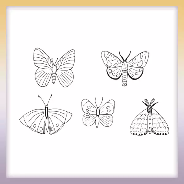 Colección de mariposas - Dibujos para colorear