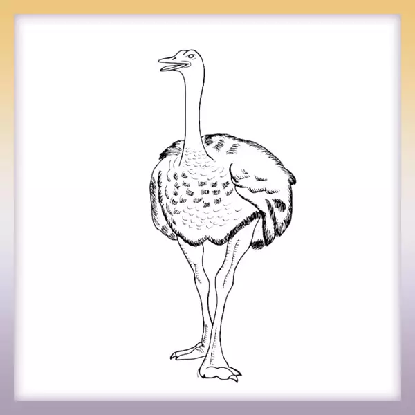 Avestruz - Dibujos para colorear