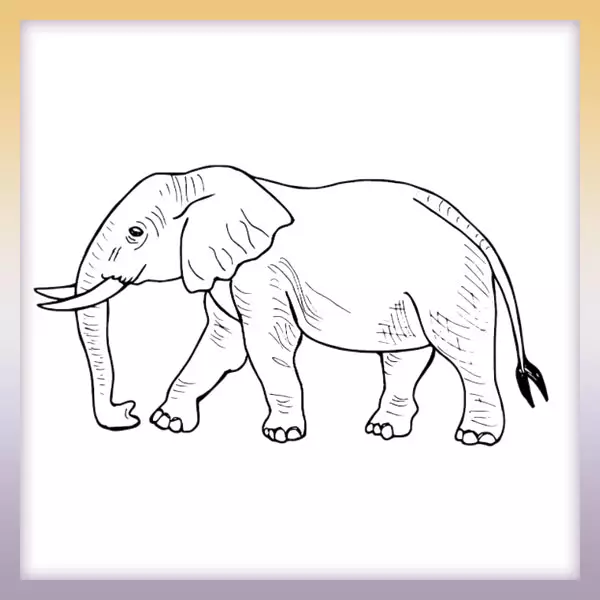Elefante - Dibujos para colorear