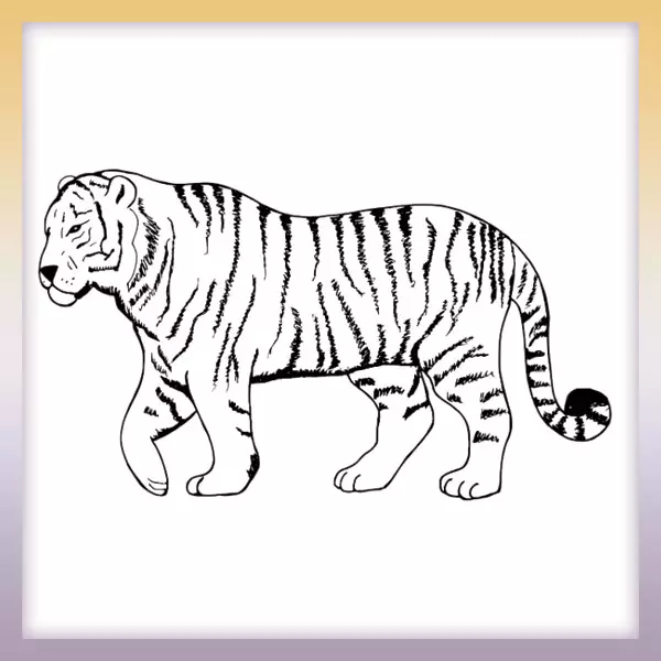 Tigre - Dibujos para colorear