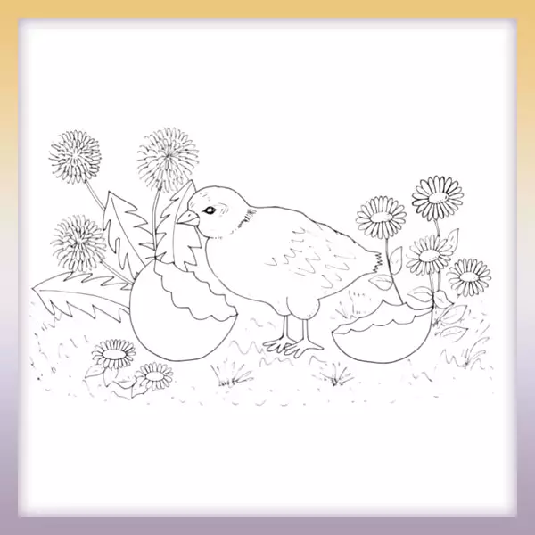 Pollo eclosionado - Dibujos para colorear